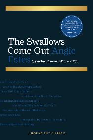 Cover photo of The Swallows Come Out